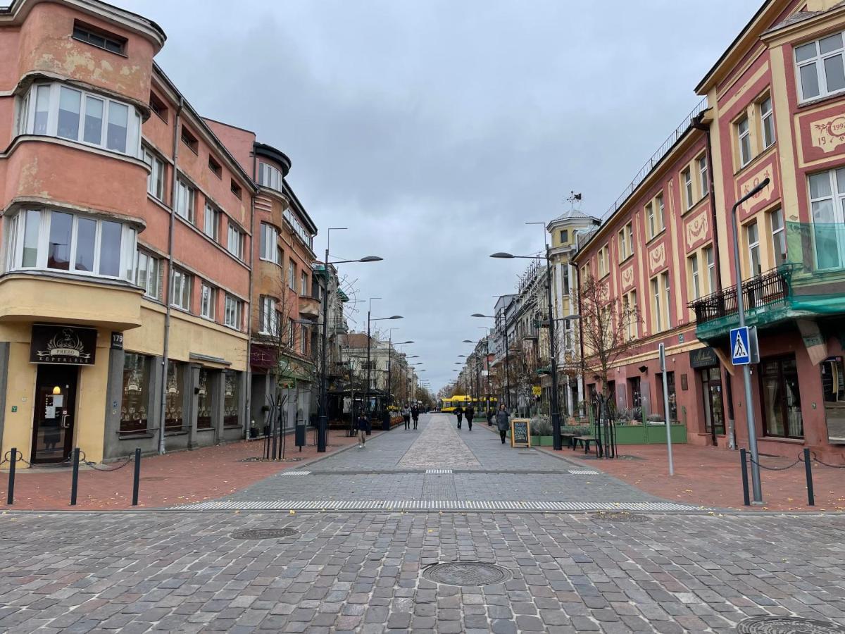 Ferienwohnung Jaukus Apartamentai Miesto Centre Šiauliai Exterior foto